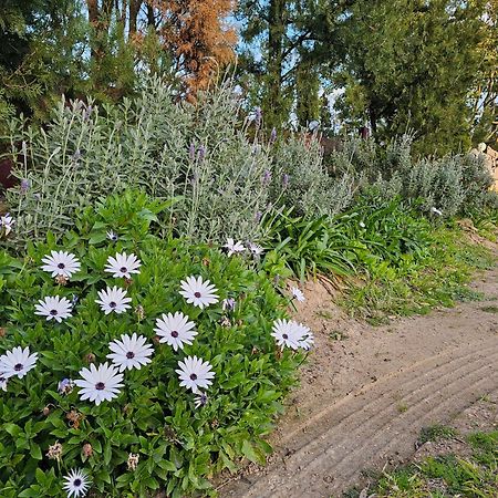 Apartamento Gowrie Agapanthus Singleton Exterior foto